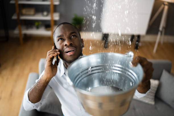 Best Water damage contractors near me  in Bay City, TX