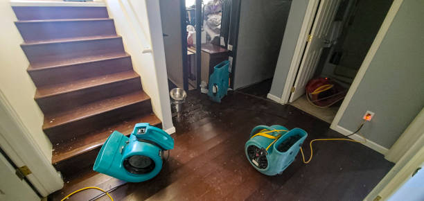 Best Flooded house restoration  in Bay City, TX