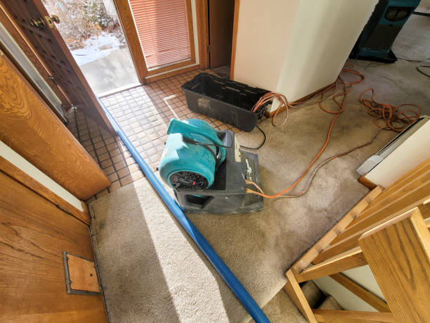 Best Water damage contractors near me  in Bay City, TX
