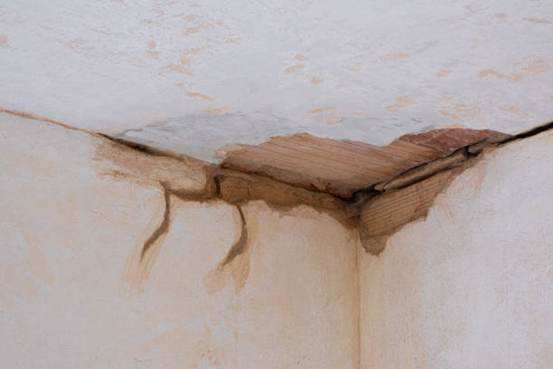 Best Carpet water damage restoration  in Bay City, TX