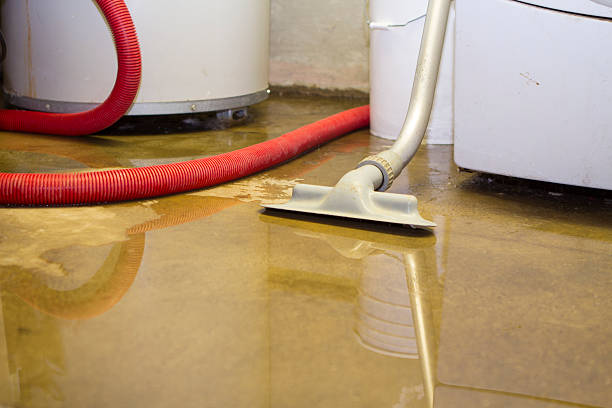 Best Ceiling water damage repair  in Bay City, TX