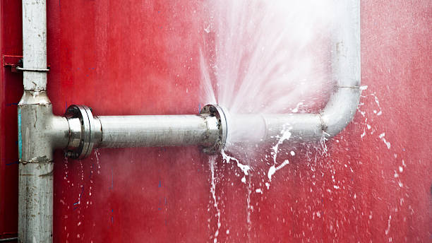 Best Flood damage cleanup  in Bay City, TX